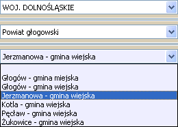 Pola wielowyboru (można zaznaczyć wiele odpowiedzi, pod warunkiem, że nie są ze sobą sprzeczne z punktu widzenia warunku logicznego, w takim przypadku odpowiedzi niedozwolone zostaną wygaszone) c)