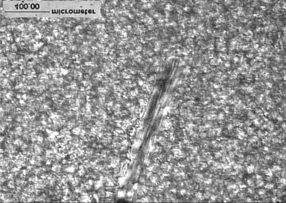 78 Rys. 13. Obraz mikroskopowy próbki 7, 1N pow. 400 Fig. 13. Microscopic view of sample 7, 1N, Enlargement 400 Rys. 15. Obraz mikroskopowy próbki 8, 1N pow. 100 Fig. 15. Microscopic view of sample 8, 1N, Enlargement 100 Rys.