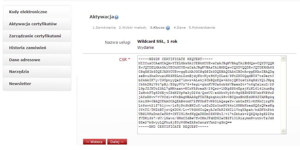 Wybieramy CSR jako sposób dostarczenia klucza do certyfikatu. Następnie przechodzimy do kolejnego kroku przyciskiem Dalej. Wklejamy żądanie CSR, przechodzimy do kolejnego kroku przyciskiem Dalej.