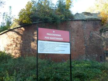 9. Fort Nocek jest pierwszym użytkiem ekologicznym utworzonym w 1996 r. w ówczesnym województwie gdańskim. Powstał w kompleksie XVIII-wiecznych fortyfikacji Fortów Napoleońskich.