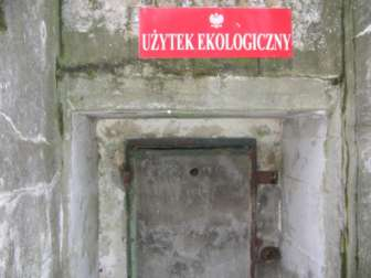 11. Luneta z Pasikonikiem użytek położony przy ul. Gen. H. Dąbrowskiego obejmuje fragment XVIII-wiecznych umocnień ziemnych, tzw. Lunetę Senarmonta.