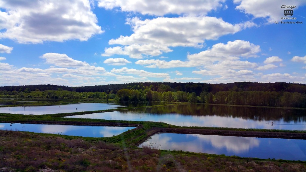 Prawie jak tapeta w Windowsie, ale to Polska i majowa natura za oknem.