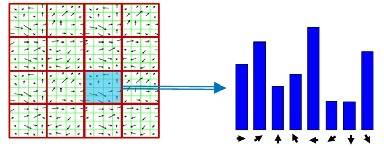 Deskryptor SIFT Scale Invariant Feature Transform Wynaleziony przez Davida Lowe w 2004 Obliczenia: Podziel fragment na 4x4 podfragmenty (16