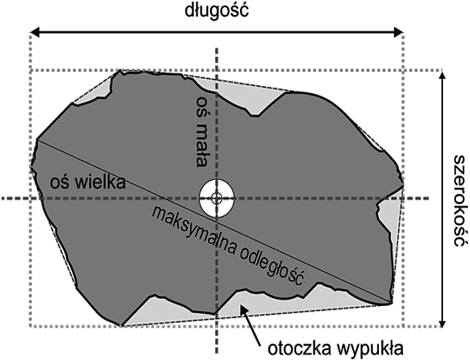 140 Przemysław Szymura, Mirosława Malinowska-Limanówka Ryc. 1. Podstawowe parametry cząstki Fig. 1. Particle main parameters Tabela 1.