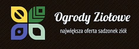 Werbena cytrynowa Ma piękny, cytrusowy aromat i z tego powodu świetnie nadaje się do przyrządzania naparów, jako dodatek do sałatek, konfitur i zup rybnych.