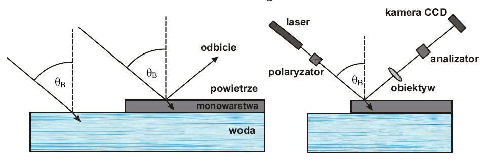 informacji na temat anizotropii optycznej monowarstwy, a tym samym orientacji cząsteczek względem normalnej do granicy międzyfazowej [3]. Rys. 4.