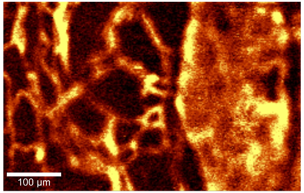 Raman intencity [cts/s] Sum [3601 rel. 1/cm -> 4600.7 rel.