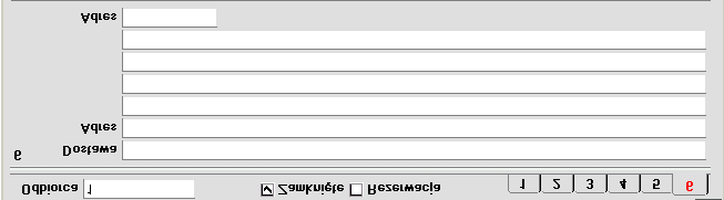 Zakładka 6 Dostawa Adres Standardowo pobierane z Odbiorcy Użyte domyślnie w WZ Można podać adres dostawy, jeżeli jest on inny niż adres podany na zamówieniu (pobrany z zakładki 2 karty Odbiorcy).