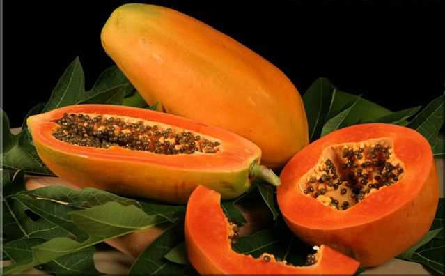 Systematyka: Rodzina: Caricaceae - papajowate (melonowcowate) Rodzaj: Carica -