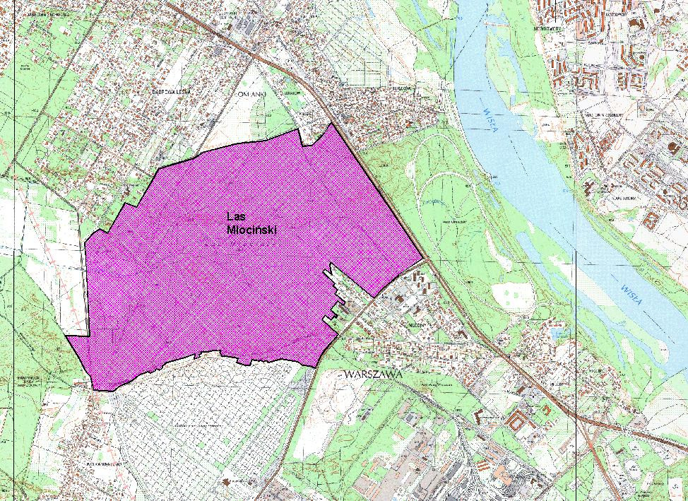 Rysunek 15 Lokalizacja Lasu Młocińskiego Park Młociński (zwany także Lasem Młociny) usytuowany jest w dzielnicy Bielany, pomiędzy ulicami Papirusów, Pułkową, Dziwożony (Parkową po stronie Łomianek) i