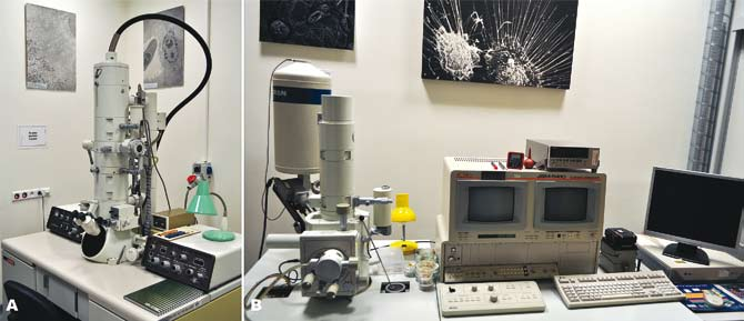 370 ARTYKUŁY Wszechświat, t. 114, nr 10 12/2013 Zasada działania układu opiera się na zastosowaniu lasera o słabej mocy, tak by mógł on wzbudzić tylko losowo wybrane cząsteczki barwnika.