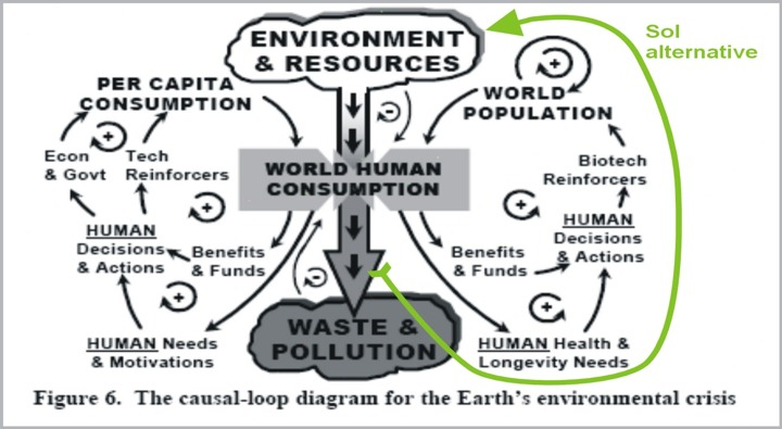 Fey, Willard R. Lam, Ann C. W., 2001, The Bridge To Humanity s Future: A System Dynamics Perspective on the Environmental Crisis and its Resolution, Michnowski, L.