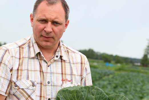 Reprezentanci Terenowi Syngenta radzą warzywa wczesne 2014 5 Zygmunt Siekacz Region: Polska Zachodnia W rejonie Piątku i Łęczycy, gdzie uprawia się dużo warzyw pod różnego typu osłonami, dobrze