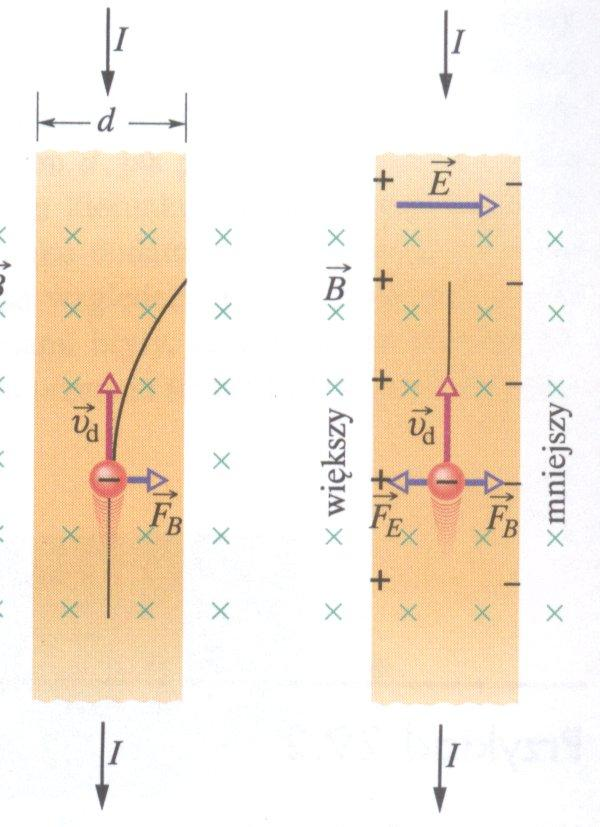 POLE MAGNETYCZNE I ELEKTRYCZNE Zjawisko Halla: również elektrony poruszające się w przewodniku (półprzewodniku) mogą być odchylone w polu magnetycznym.