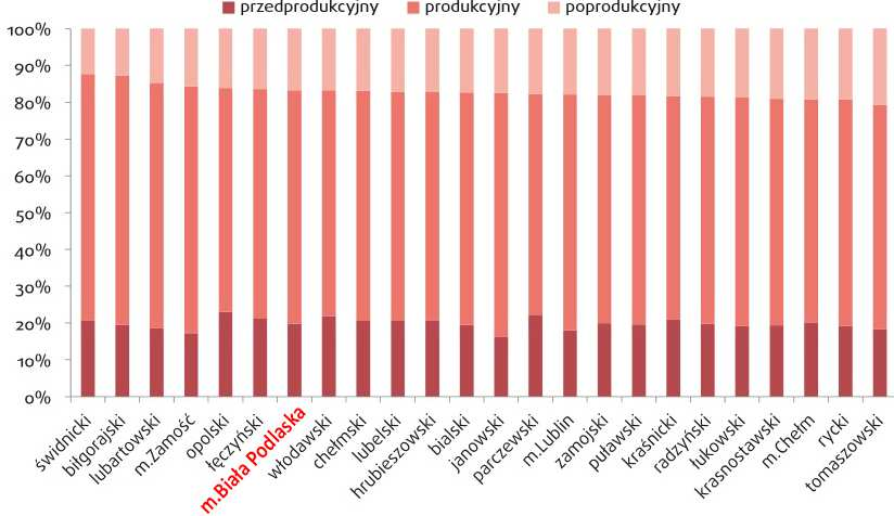 Źródło: Instytut Badań Strukturalnych Lubelszczyzna 2020 Rozwój ale w jakim kierunku? (GUS). Miasto Biała Podlaska zajmuje czwartą lokatę w województwie Lubelskim pod względem liczby mieszkańców.