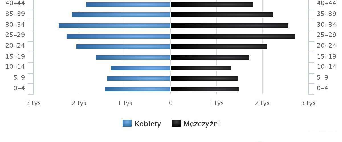 Źródło: www.polskawliczbach.pl GUS Wyk.