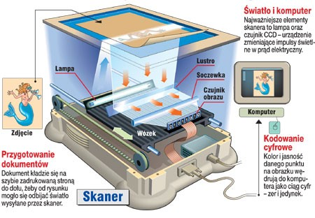 Krotko o skanerach i skanowaniu Skaner przekształca optyczne informacje na komputerowe dane.