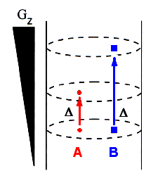 DOSY- Diffusion-Ordered SpectroscopY Pomiar dyfuzji odbywa się przez obserwację tłumienia sygnałów NMR podczas eksperymentu z gradientem pola impulsowego.