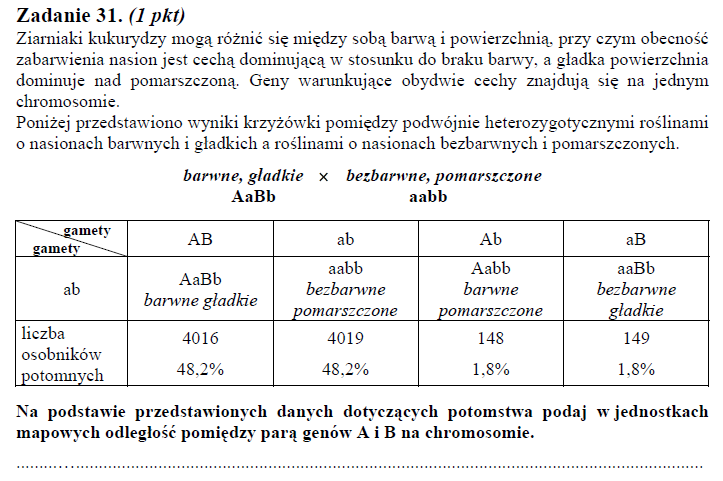 Matura 2009