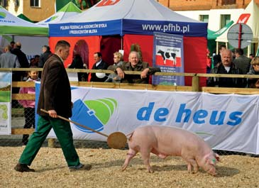 Regionalna Kujawsko-Pomorska Wystawa Zwierząt Hodowlanych w