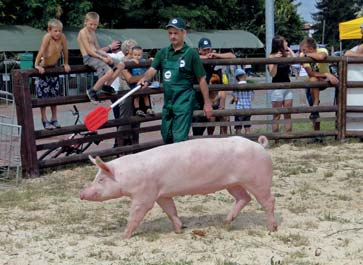 Janusza Linka XIV Wojewódzka Wystawa Zwierząt Hodowlanych w