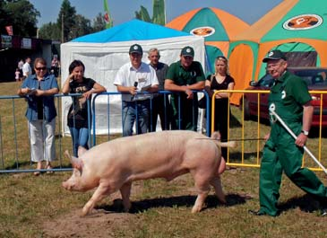 Rolniczych w Sitnie (fot. M.