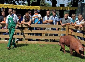 XIII Regionalna Kujawsko-Pomorska Wystawa Zwierząt