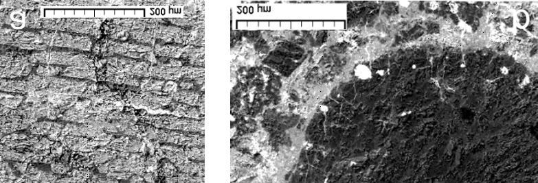 126 Petrologiczna i mineralogiczna charakterystyka chondrytu węglistego NWA 4967 Rys. 6. Obrazy BSE fragmentów chondr w meteorycie NWA 4967.