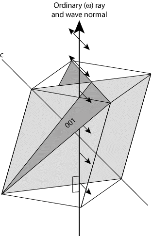 Promień zwyczajny W jednoosiowych kryształach kierunek drgań promienia normalnego jest zawsze równoległy do płaszczyzny (001).