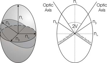 Kryształy dwuosiowe Kryształy rombowe, jednoskośne i trójskośne mają dwie osie optyczne.