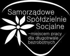 Strona 2 3) Ogólny zakres (liczba osób, godzin, program) Wykonanie usługi w zakresie: Doradztwo indywidualne dla 32 Jednostek Samorządu Terytorialnego w zakresie pisania planu założenia i