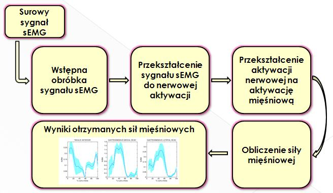 ALGORYTM PRZEKSZTAŁCAJĄCY SYGNAŁ semg NA SIŁĘ MIĘŚNIOWĄ Konwertowanie sygnału semg na siłę generowaną przez