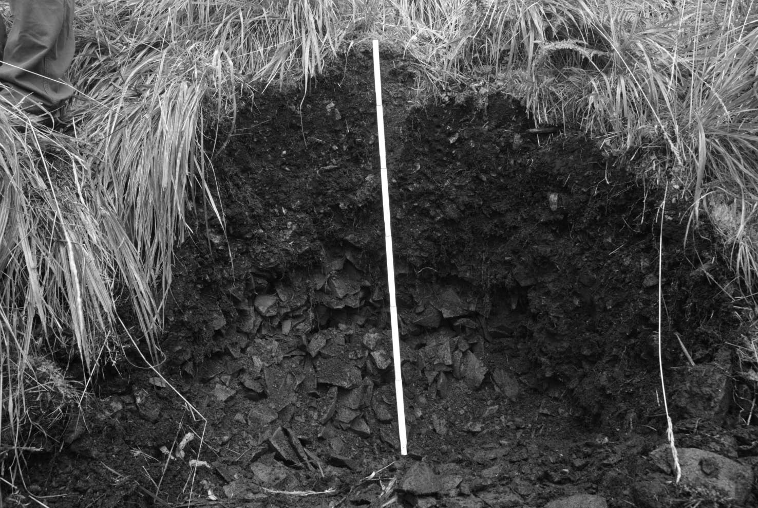 344 ROCZNIKI BIESZCZADZKIE 2011 (19) Ryc. 5. Gleba rumoszowa głęboko wypełniona materią organiczną (Góry Kamienne, Sudety). Fig. 5. Debris soil deeply filled with organic matter (Kamienne Mts.