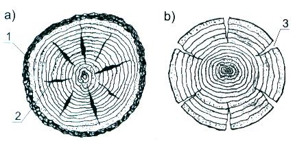 Wybrane właściwości wytrzymałościowe drewna: Pęknięcia suszonego drewna okrągłego: a) w korze, b) bez kory 1-kora,