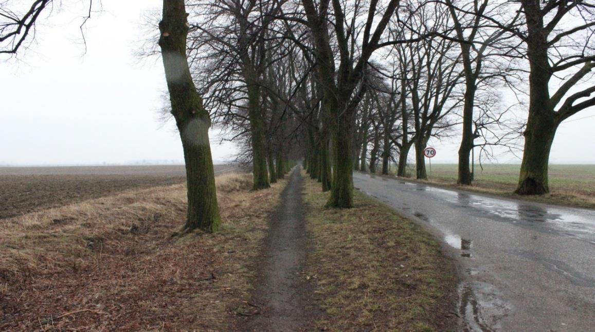 Rysunek 1 Nawierzchnia ścieżki rowerowej w