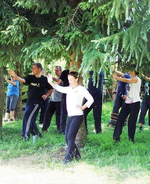 Ćwiczący wykonują ruch o nazwie Luohan