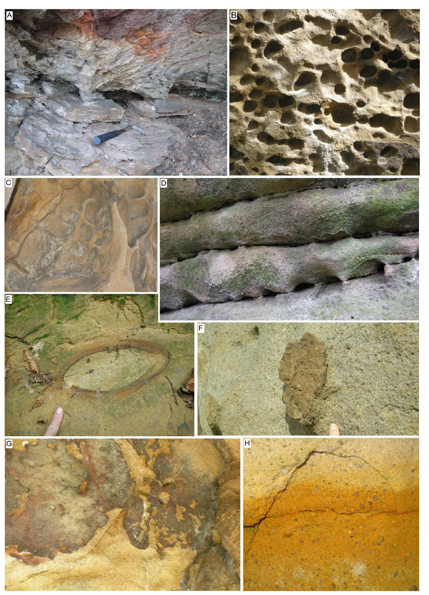 Fig. 12. Typical weathering structures examples from the Ciężkowice-Rożnów Landscape Park area, photo A.