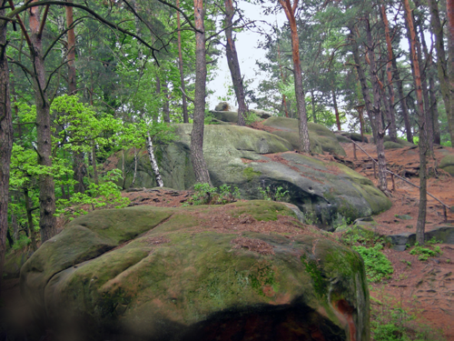 Fig. 4. The rocky forms in Stone Town, photo A. Waśkowska Formy skałkowe w Skamieniałym Mieście, fot. A. Waśkowska The majority of the Ciężkowice Sandstone rocky forms are concentrated in the southeastern part of the Park.