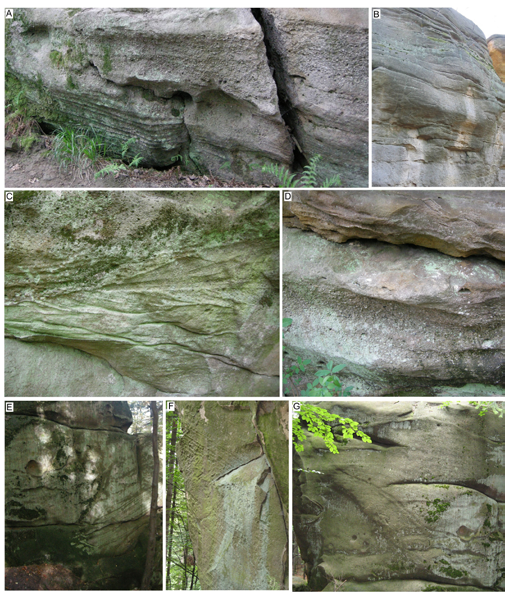 Fig. 7. Selected sedimentary structures and texture exposed in the Ciężkowice-Rożnów Landscape Park, photo A.