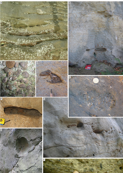 Fig. 8. Selected sedimentary structures and textures exposed in the Ciężkowice-Rożnów Landscape Park, photo A.