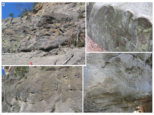 Fig. 9. Examples of deformation structures in the sandstones of the Ciężkowice-Rożnów Landscape Park, photo A.