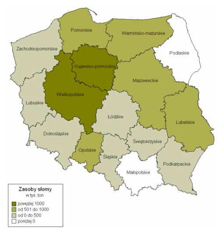 Ryc. 7 Przestrzenne rozmieszczenie zasobów słomy do wykorzystania na cele energetyczne Źródło: Projekt założeń do planu zaopatrzenia w ciepło, energię elektryczną i paliwa gazowe Gminy Września, 2012