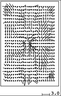 zniekształcenia m x =0,3 µm i m y =04 µm) (Jacobsen, 2007) Rys. 3.