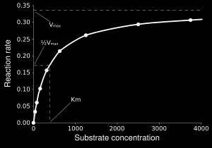 Kinetyka Michaelisa-Menten Szybkość