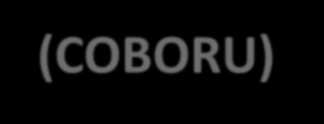 Liczebność odmian ziemniaka w KRO (COBORU) Lata 2008 2009 2010 2011 2012 2013 2014 2016 b.