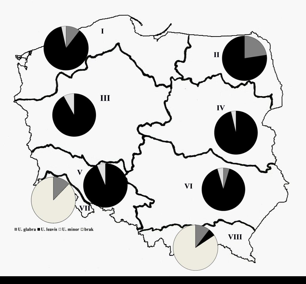 Skład gatunkowy stanowisk [%], w