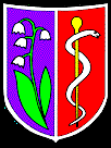 Pułapki w neurologii Zakopane, 18-19 listopada 2016 r Choroba Parkinsona Pułapki terapii już po miodowym