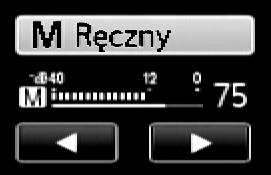 Poziom nagrywanego dźwięku Możliwa jest regulacja poziomu dźwięku nagrywanego za pomocą wbudowanego lub zewnętrznego mikrofonu. W czasie nagrywania można wyświetlić wskaźnik poziomu dźwięku.