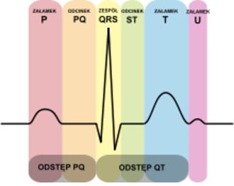 EKG Załamek P jest wywołany depolaryzacją przedsionków Odstęp PR (od początku załamka P do rozpoczęcia zespołu QRS) - czas podróży potencjału z węzła zatokowego do końca włókien Purkinjego (Norma: