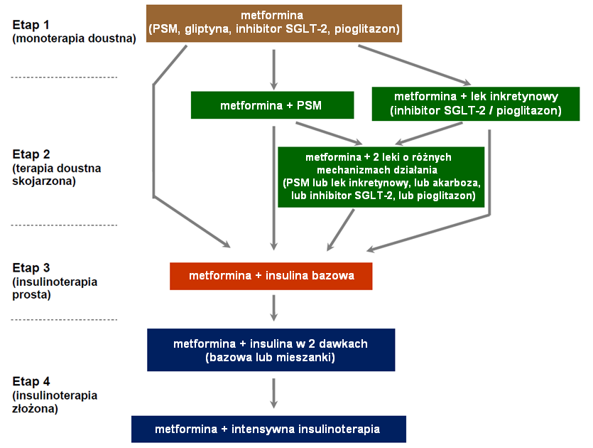 Na każdym etapie terapia behawioralna Algorytm leczenia cukrzycy typu 2 wg PTD 2016 PTD. Zalecenia kliniczne dotyczące postępowania u chorych na cukrzycę, 2016.